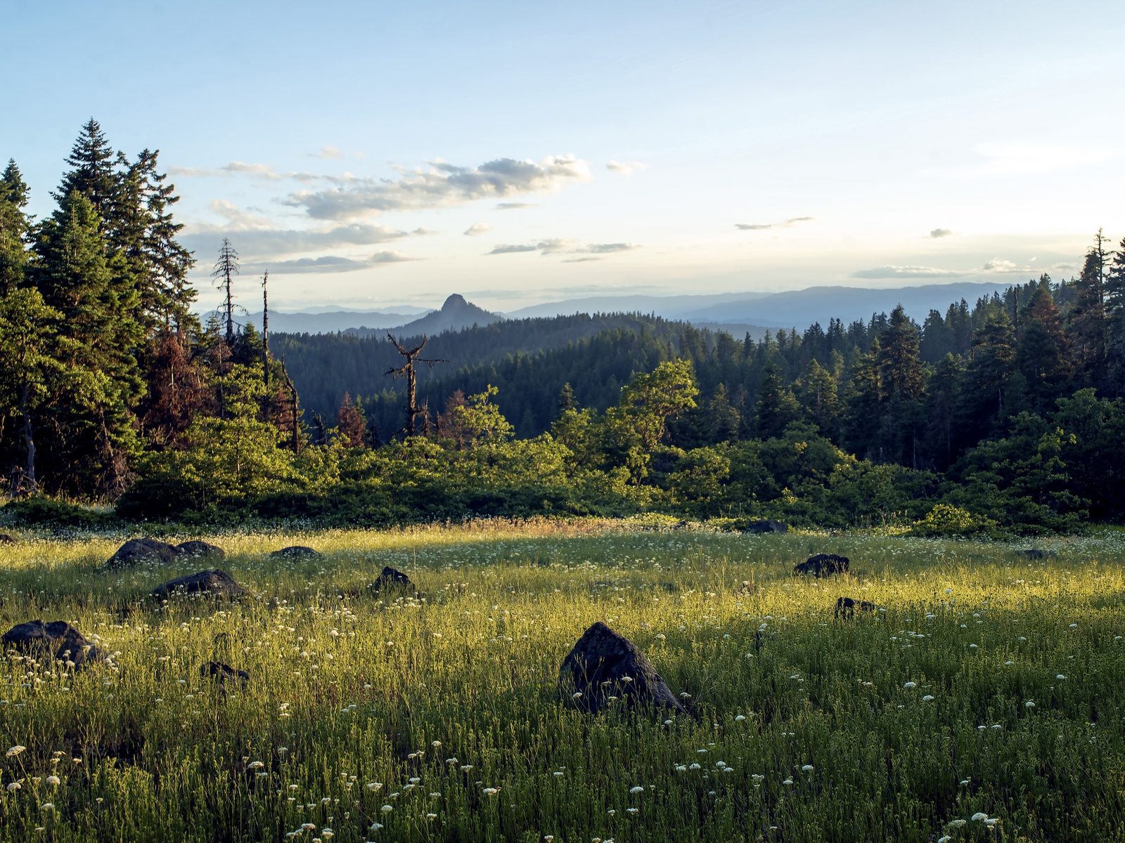Afternoon Shadows, Cascade-Siskiyou National Monument, Jackson County, Oregon
