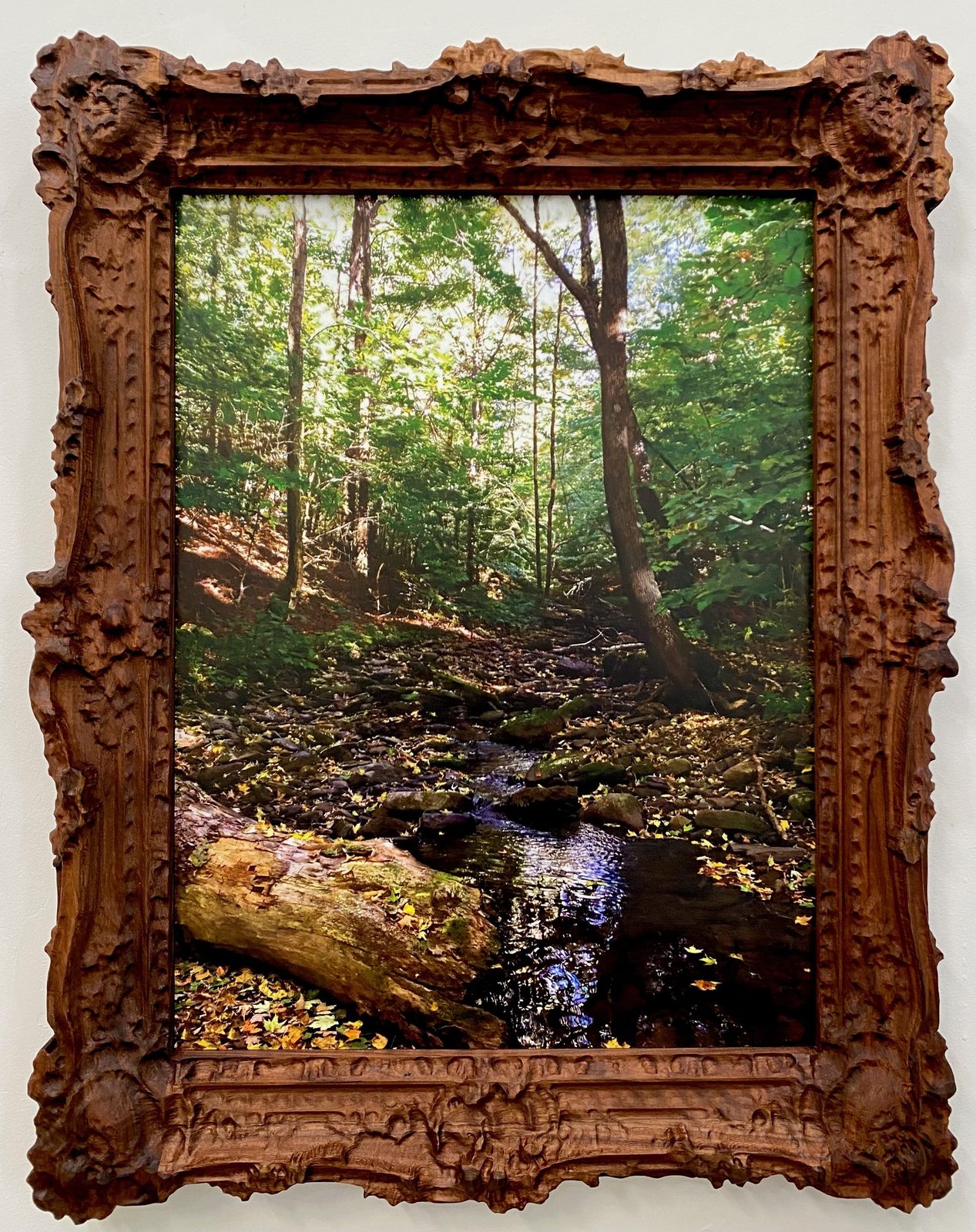 Alder Creek, Balsam Lake Mountain Wild Forest, Ulster County, New York