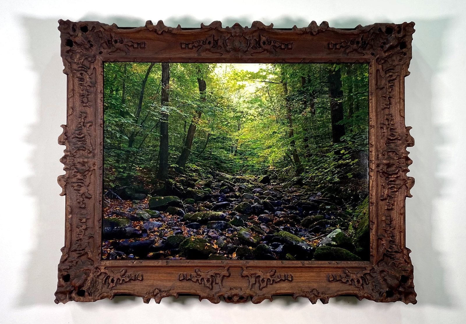 Black Brook, Balsam Lake Mountain Wild Forest, Ulster County, New York