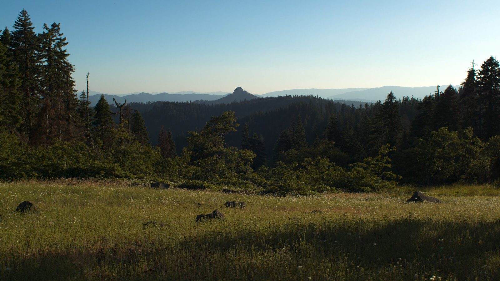 Deep Green, Cascade-Siskiyou National Monument, Jackson County, Oregon, July 20, 2019