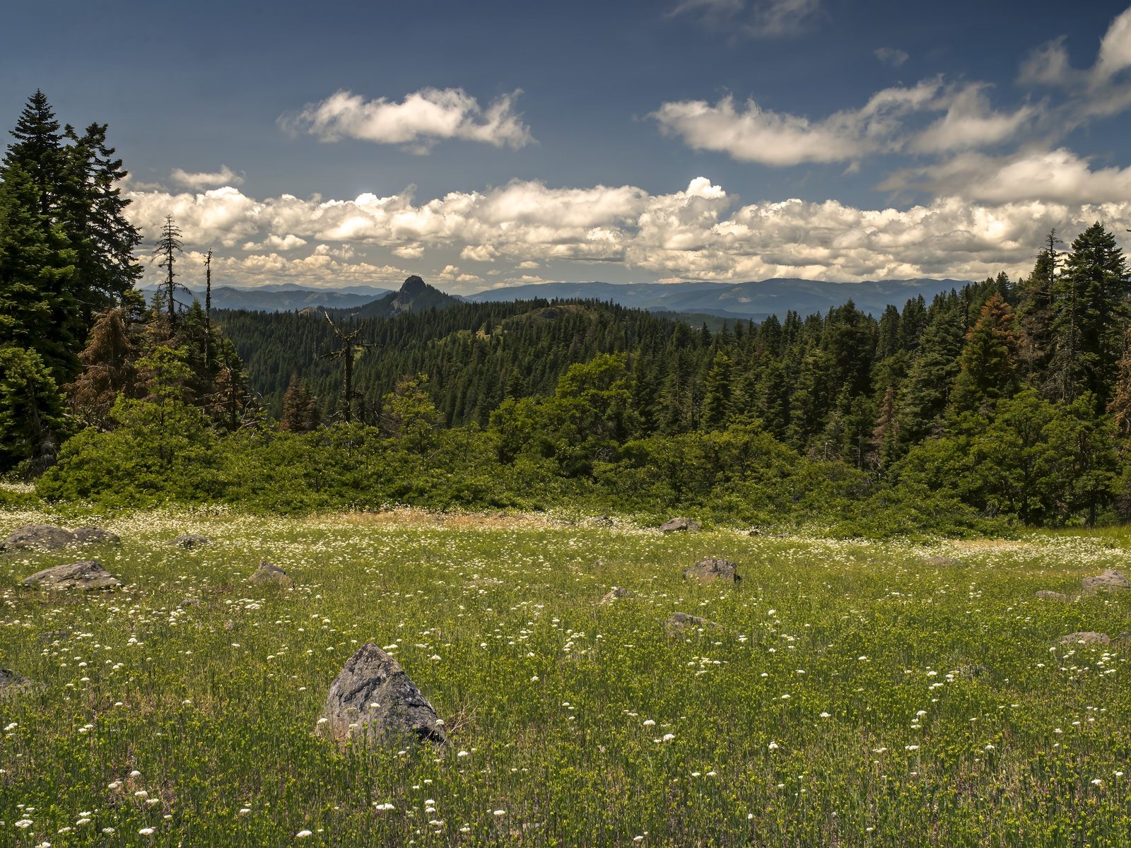 Midday Sunshine, Cascade-Siskiyou National Monument, Jackson County, Oregon