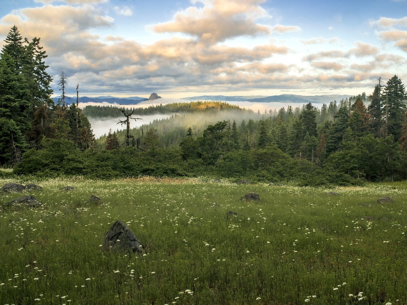 Morning Fog, Cascade-Siskiyou National Monument, Jackson County, Oregon