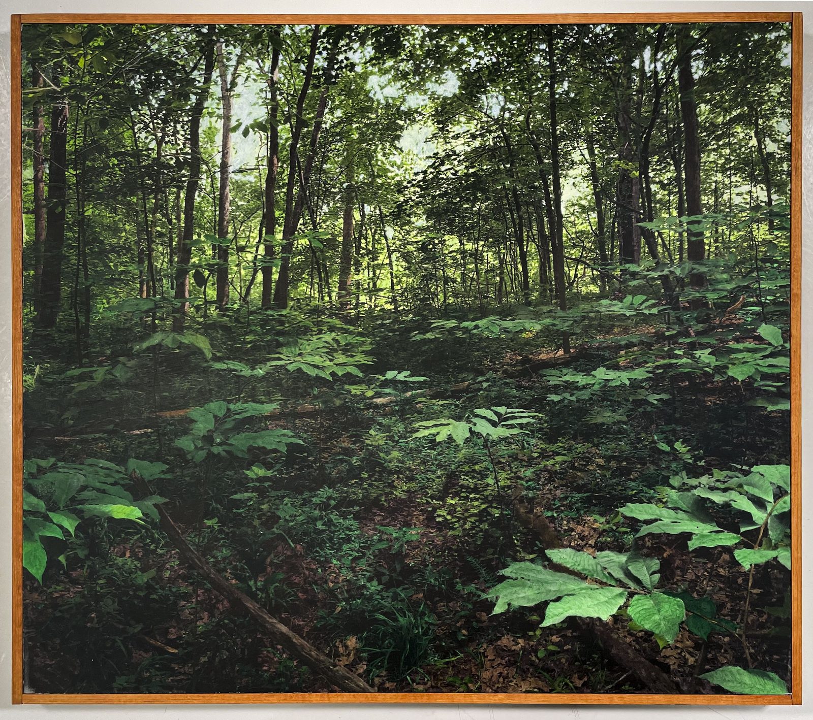 Near Indiana Creek, Griffy Lake Nature Preserve, Monroe County, Indiana