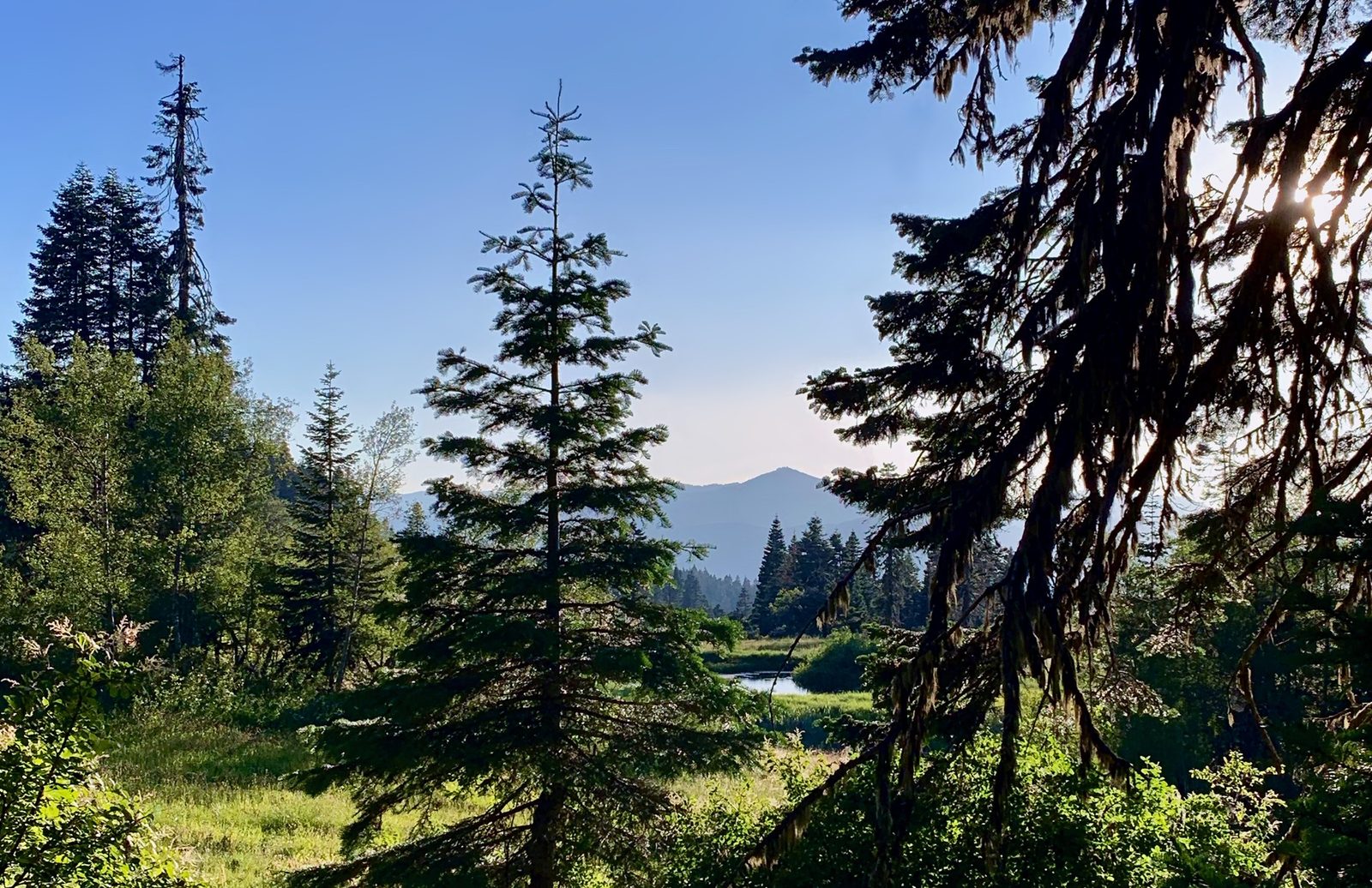 Spring Pond, Cascade-Siskiyou National Monument, Jackson County, Oregon